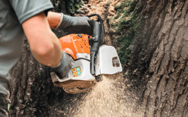 Arborist using a chainsaw to trim a tree in Erie, PA, demonstrating professional tree cutting services.