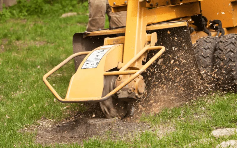 Stump grinding in Idaho Falls, Idaho, showing professional removal of a tree stump.