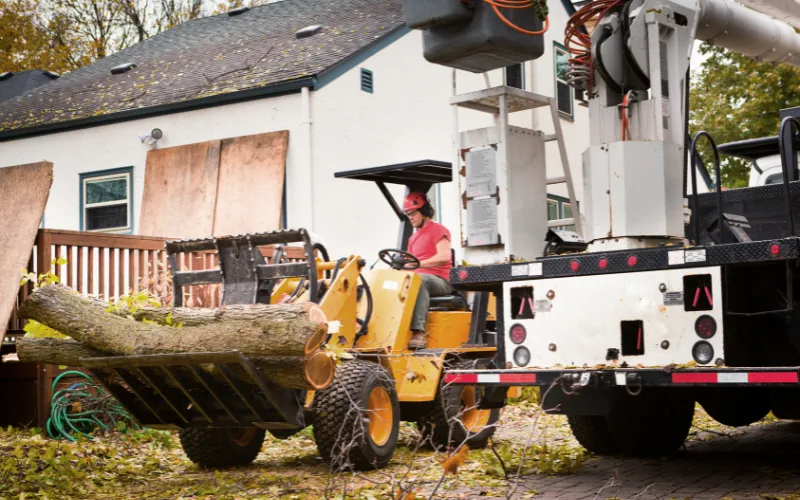 Tractor moving trees in Erie, PA, demonstrating efficient tree relocation services.